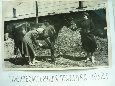 historyJGA_UPLOAD_IMAGENAME_SEPARATOR5